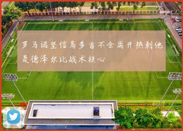 罗马诺坚信乌多吉不会离开热刺他是德泽尔比战术核心